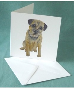 Border Card Border Card